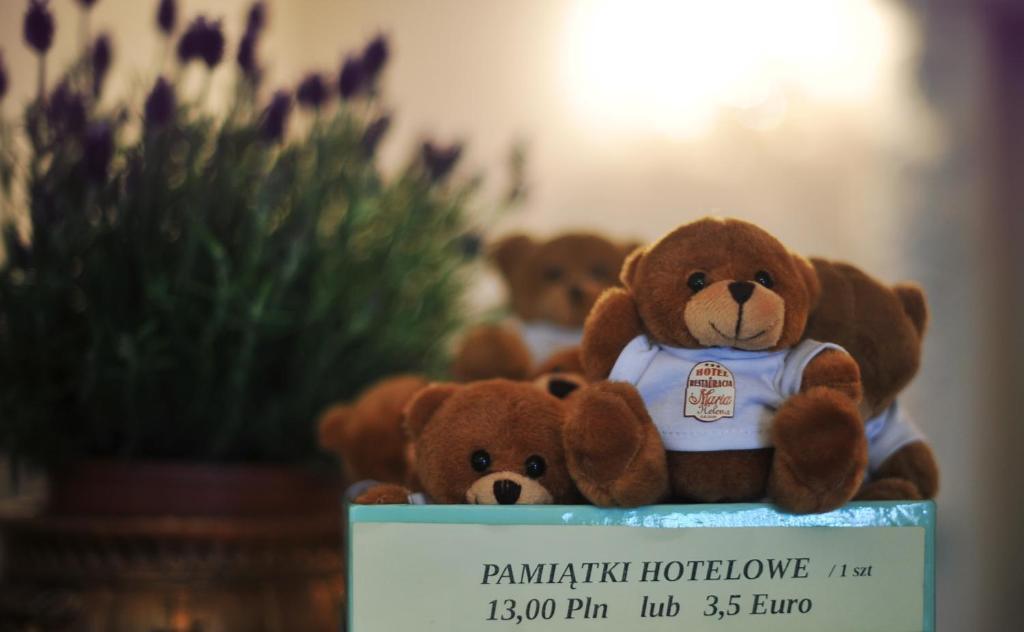 Hotel Maria Helena ชตอฟนอ-สดรูย ภายนอก รูปภาพ